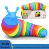 Multicolor Stress Relief Educational Toy: Snail, Slug, Caterpillar, Crayfish