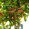 Garden Wind Chime Dragonfly Wind Chime Outdoor Relaxation Sturdy Iron Material 6 Bells Captivating Outdoor Decor