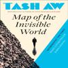 Map of the Invisible World by Tash Aw Paperback Book 9780007349982
