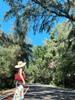 Hand-Woven PVC Shoulder Bag: French-Style Basket for Beach or Market