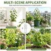 Adjustable PP Plant Support Structure For Flower Pots Climbing Roses Healthy Growth Of Ivies And Other Vine 5 Pack