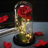 Rose glowing in glass, LED, eternal, pink, battery, proposal, wedding, name day