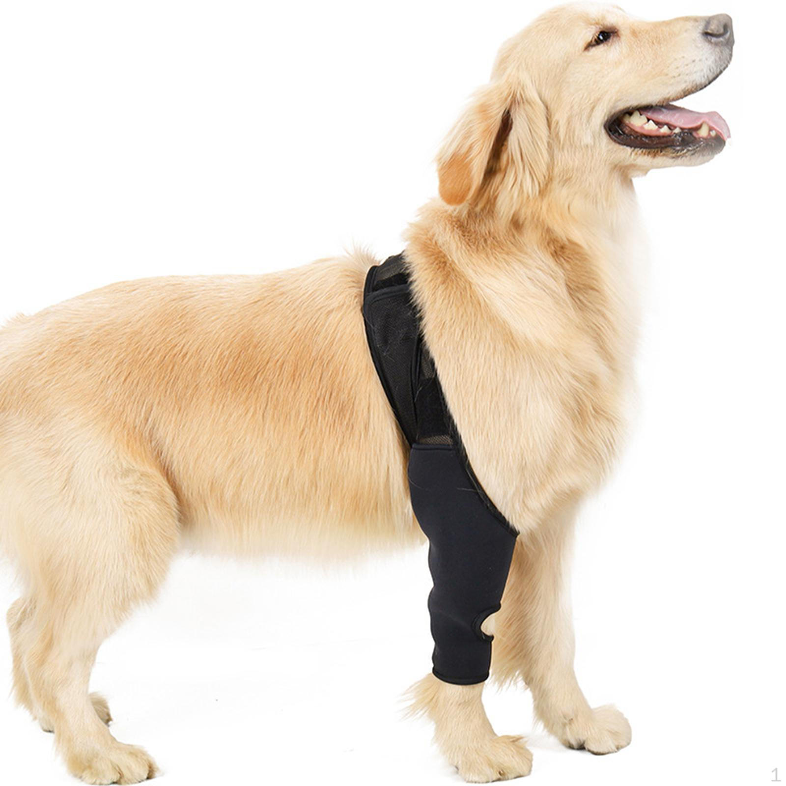 

Pads Dog Elbow Neoprene Protective Sleeve Knee Brace XS