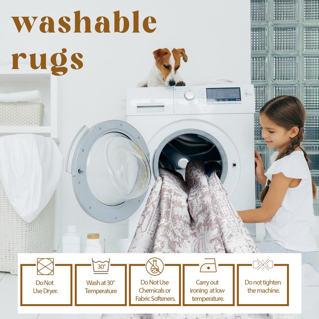 Decorative Area Rugs, Rugs For Living Room, Machine Washable Rug, Non Slip Rug