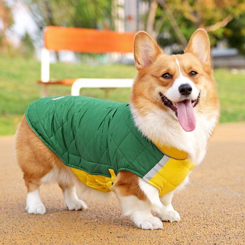 Warme Baumwoll-Hundekleidung für mittlere und große Rassen: Herbst/Winter-Stil für Corgis, Border Collies, Dobermänner und Golden Retriever