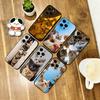 The Cat Crew Phone Case Silicone Soft For IPhone 17 16 15 14 13 12 11 X XR Plus Pro Max Plus