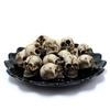 Pack of 6 Halloween Skeleton Decorations Durable Resin Skull Set for Home Office Party Spooky Display