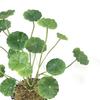 Artificial Plants Lotus Leaf Potting Material Festival Decor Household Products Garden Pool Aquatic Green Plants Bonsai Diy Gift