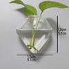 Irregular Shape Hydroponic Vase Wall Mounted Plant Container Glass Vase  Living Room