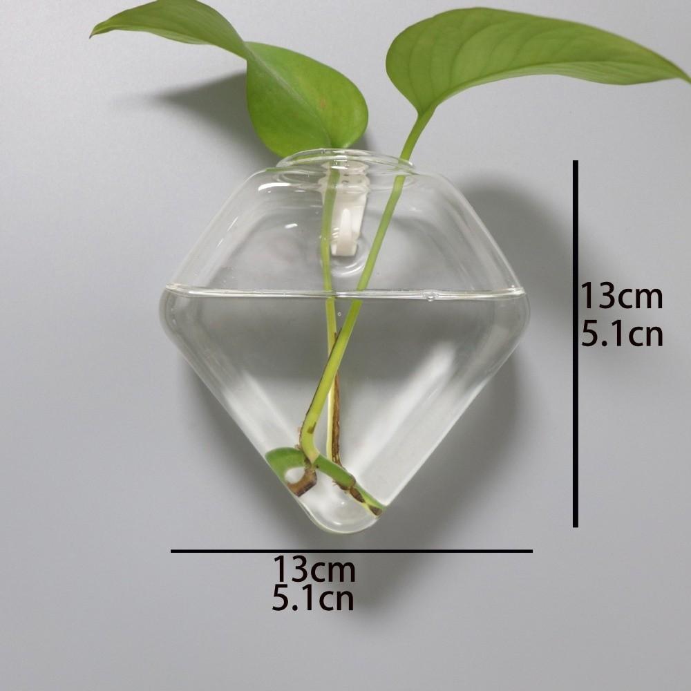 Irregular Shape Hydroponic Vase Wall Mounted Plant Container Glass Vase Living Room