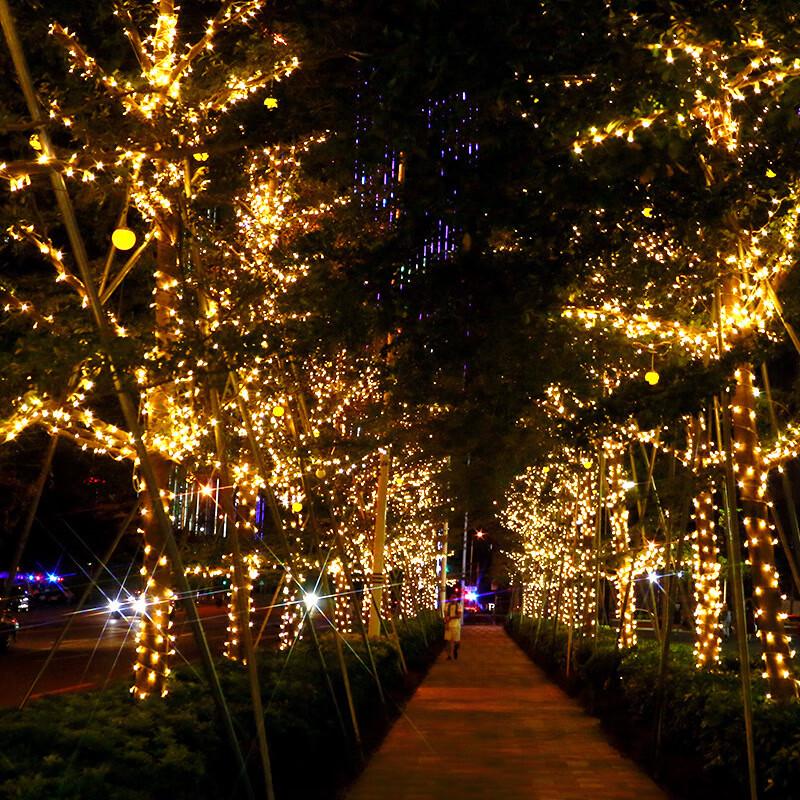 HEIXIE Outdoor Purple LED String Lights