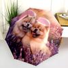 Chow Chow and Grass Pattern, Automatic Folding Umbrella, Portable and Foldable Design, 8 Ribs, a Christmas or Birthday Gift.