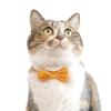 Neck Dogs Pets Accessories Bowknot Cat Pet Supplies Collars