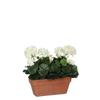 Plante Artificielle - Mica Decorations - Géranium - Blanc - 29x13x40 Cm - Ethnique