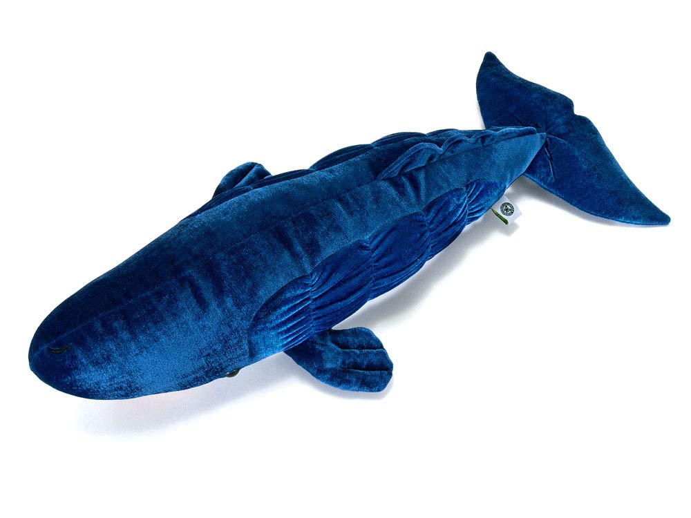 Carolata Sperm Whale Plush Toy (62 x 27 x 14cm  Soft to the Touch) Realistic Whale Animal Toy Doll Gift Present Birthday (Twice Tested)  Christmas