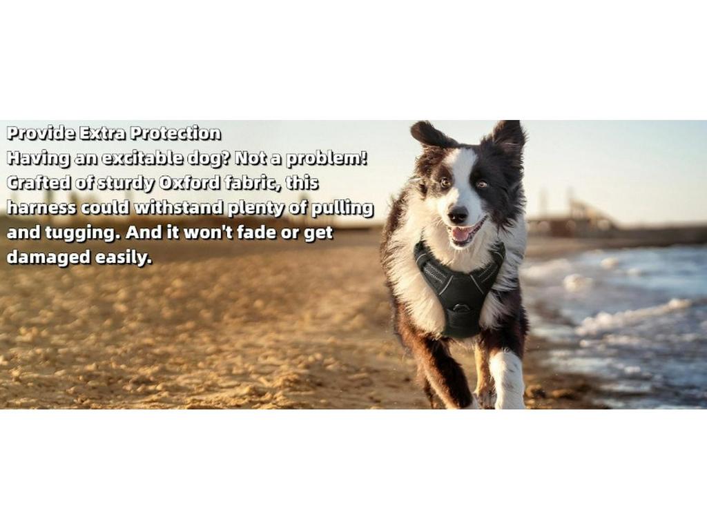 Pet Backpack Leash and Harness for Small to Large Dogs - Anti-Escape Design with Special Traction Rope