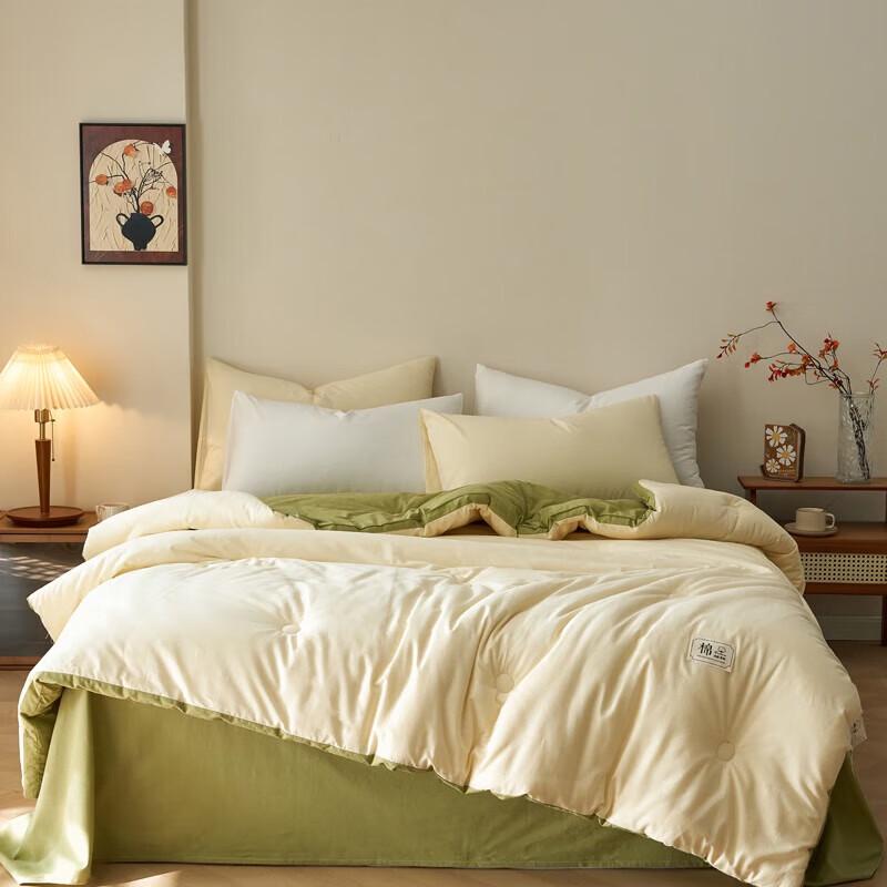 

Belle Anna Simple Style Cotton Shell Winter Duvet
