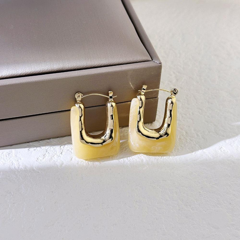 Irregular Shape Resin Earrings Vintage Style Geometric Earrings Ear Buckles  Girls Jewelry