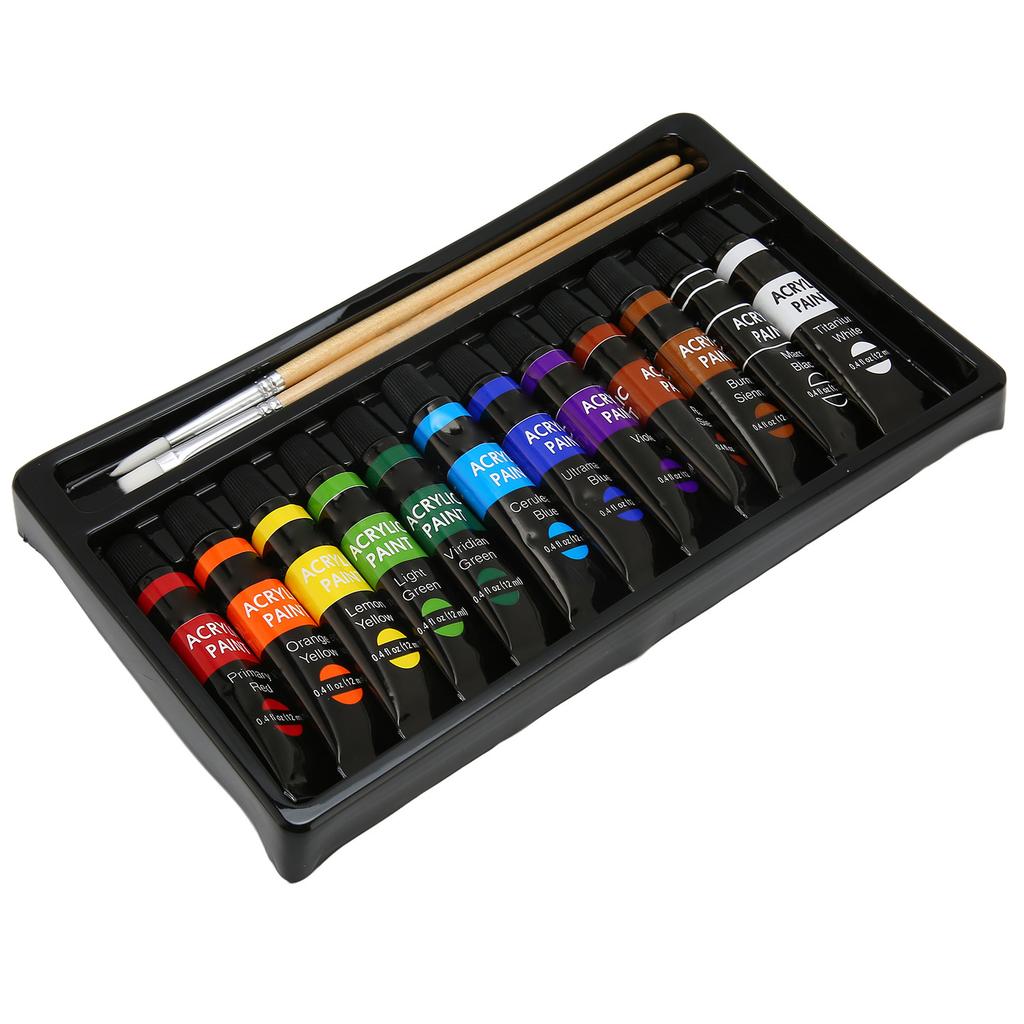 Acrylic Paint Set 12 Color Art Doodle Acrylic Craft Paint Set with 3 Brushes for Adults Kids