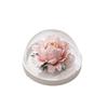 Hand-Made Porcelain Peony Diffuser Incense Burner Luxury Floral Essential-Oil Stone Re-Usable Home Fragrance & Gift Décor