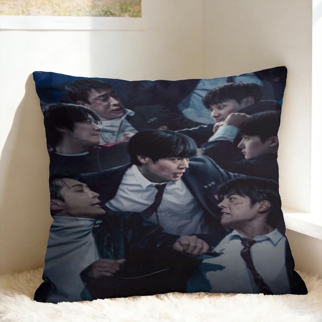 Hot Kdrama Weak Hero Class Pillow Case Funny Pillow Cover Soft Pillowcases For Couch Sofa Bedroom