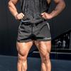 Muscleguys Mens Short Shorts gym Training Wear Sports basic quick Dry Fit 4 Colors instock male Beash Swimming fashion Bottom Shorts