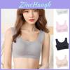 Seamless Plus Size Padded Sports Bra With Breathable Elastic And U Back Design
