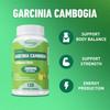Garcinia Cambogia Burns Fat for Weight Loss, Boosts Metabolism and Suppresses Appetite
