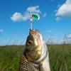 30pcs Metal Spoon Spinner Fishing Lure with Treble Hook Spoonbait Crankbaits Artificial Bait for Bass Trout Perch Pike