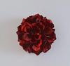 [Various Colors] Natural Flower Hair Ornament, Flower Corsage, for Western Clothing, Yukata, Kimono, Etc., Comes with Storage Case.