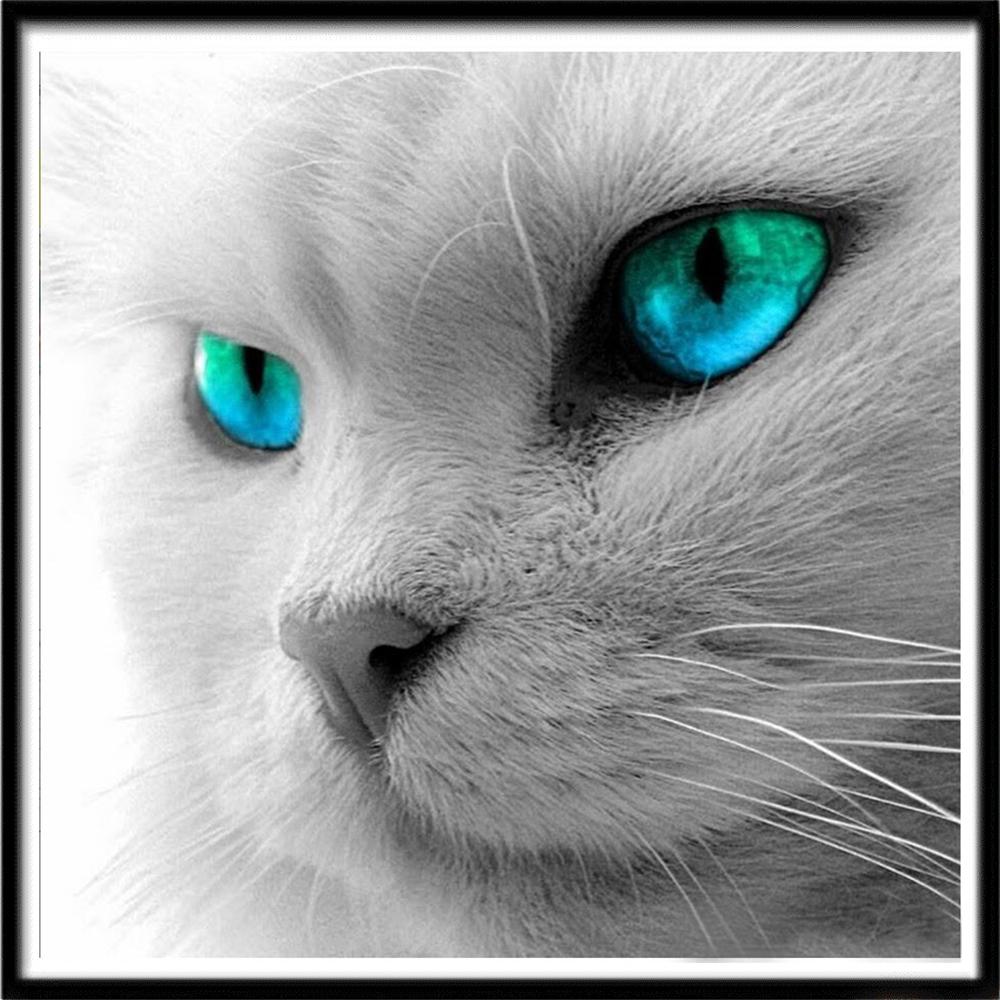 5D-Diamantgemälde voller Diamanten, Tierhund, Diamant-Tiger-Mosaik, Löwe, Diy, runde Diamant-Stickerei, Kreuzstich, Strass-Kunst