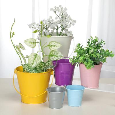 Creative Succulent Pots: Colorful Mini Tin Buckets for Gardening and Weddings