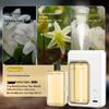 Aromatherapy Automatic Spray Humidifier: Long-Lasting Room Fragrance & Toilet Deodorizer.