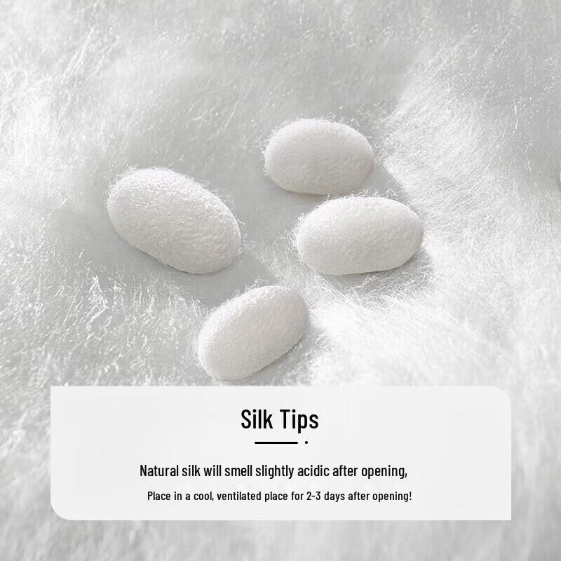 Fuanna Yameng All-Season Cotton Cover Silk Quilt