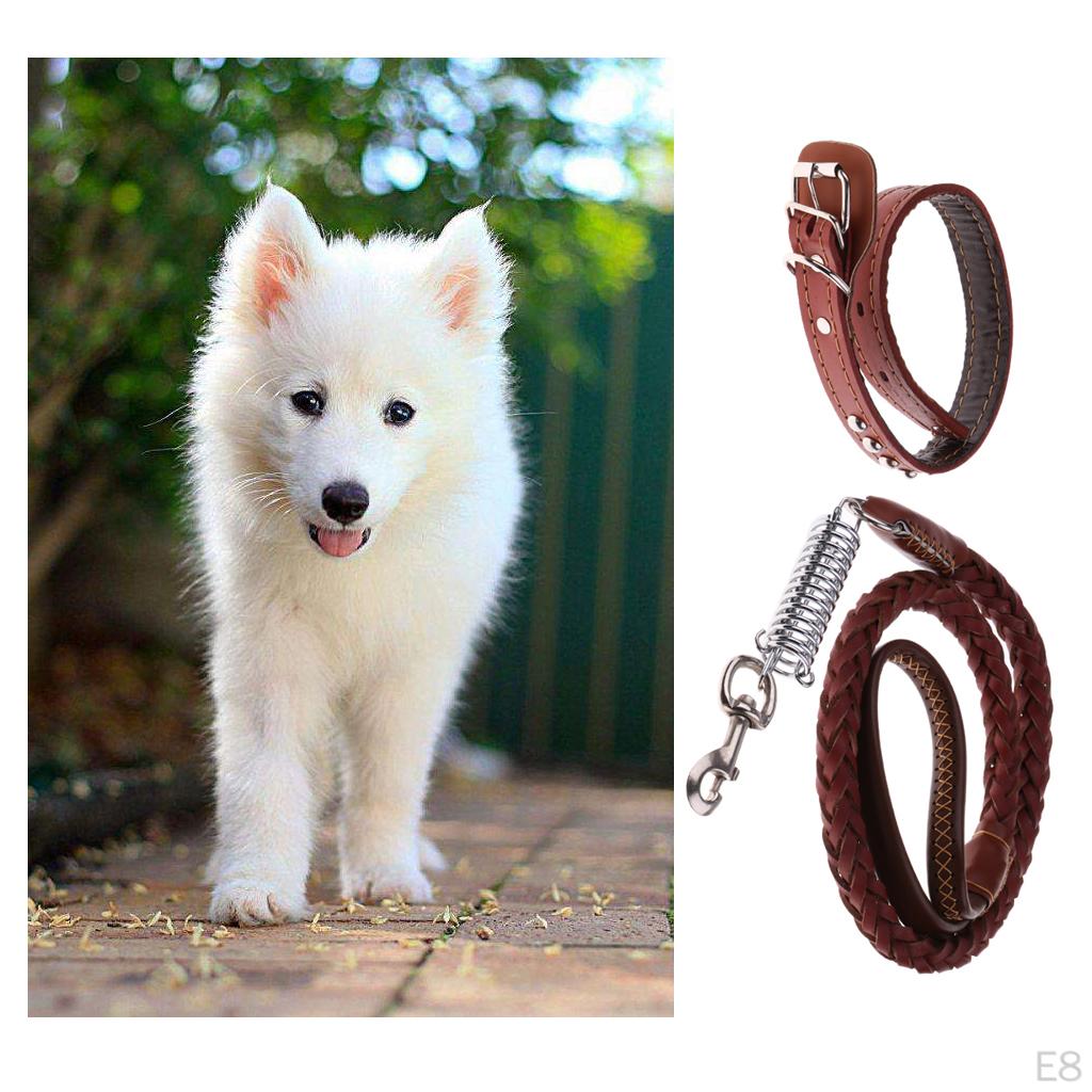 Pet Walking Training Dogs Leashes Medium Puppy Black,Brown