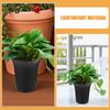 10 Stück Hohe Taille Plastikblumentöpfe Runde Pflanzgefäße für Zimmerpflanzen Sukkulenten Kakteen Bonsai mit Drainagelöchern Anzuchtstarter