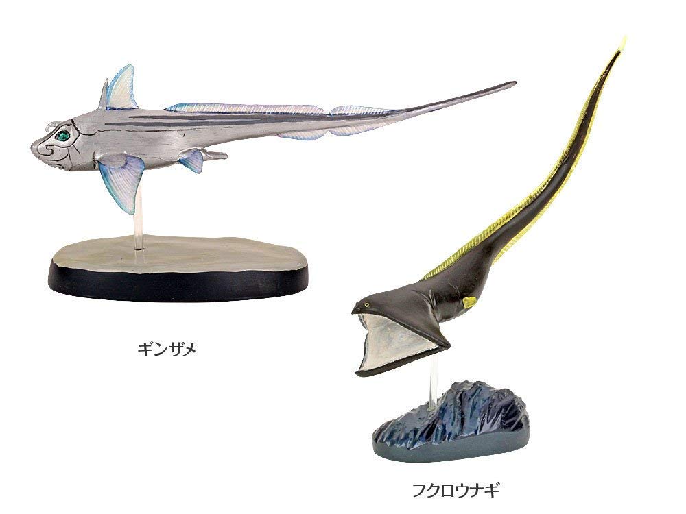 Calorata 3D Fish Figures Species Includes Realistic Toy Birthday Gift Sanitation Law Realistic Figure Box Gift Deep-Sea (7 / Instructions)