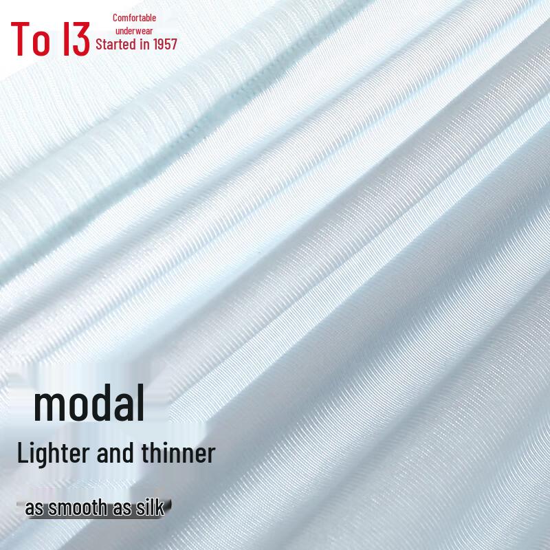 Hodo Women's Modal Silk Blend Antibacterial Briefs