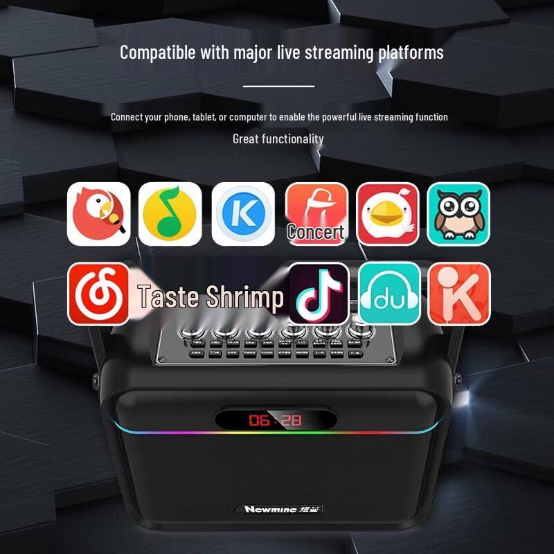 Newmine K112 Portable Bluetooth Karaoke Speaker CN plug (adapter included)