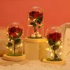 Eternal Flower Night Light Valentine's Day Gift Glass Cover Rose LED Light Bedroom Bedside Ins Wind Decoration