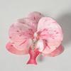 5pcs Simulated Film Butterfly Orchid Flower Head Petals Flower Accessories Headwear Hairclip Handmade Wedding Gift Decoration