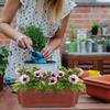 6Pcs Plastic Flower Pots for Indoor Outdoor Gardening Small Bonsai Planter Pots with Drainage Holes Balcony Yard Plant Holders
