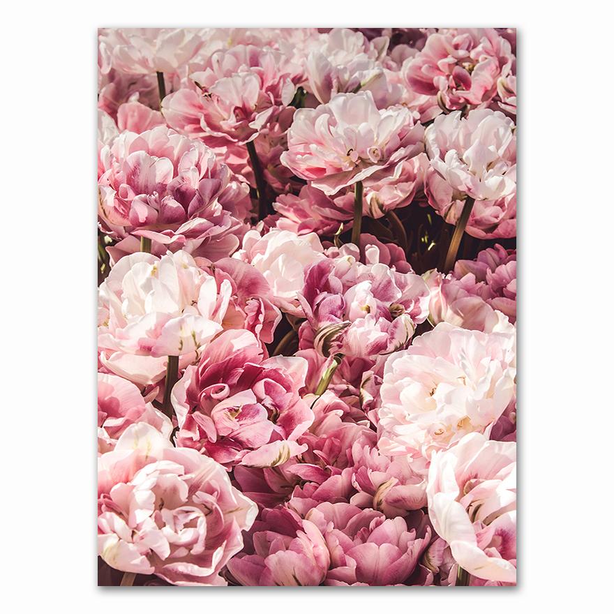 Canvas Painting Elegant Peony Flower Phrase Poster And Print Wall Art Picture For Living Room Home Decoration Nordic Decor