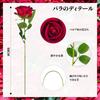 DECEED Artificial Set of Day Flower Diameter 7cm x Length 50cm Roses, 10, Bouquet, Valentine's Bouquet, Mother's Day, Wedding, Birthday, (Brilliant