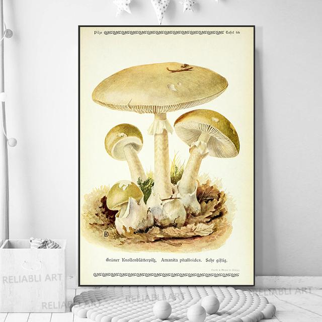 Vintage Mushroom Specimen Canvas Painting Antique Wall Art Herbal Pictures Science Posters and Prints Home Office Decor Cuadros