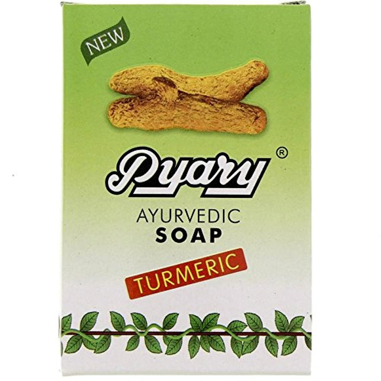 Gaity Agro Pyary Ayurvedic Turmeric Soap