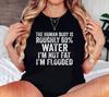 Funny Dad Joke Shirt, The Human Body Is 60 Water Im Not Fat Im Flooded Tee, Sarcastic Saying Tee, Body Positive Humorous Shirt, Gift For Him