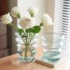 Vase Glass Vase Home Decoration Ornaments Flower Arrangement Flower Vase