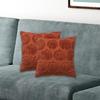 2Pcs Pumpkin Pillow Covers Cushion Cover Home Decor Embroidered Fall Throw Case Pillowcase