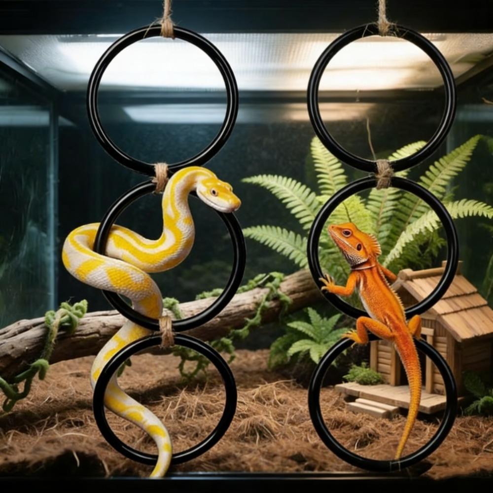 Enrichment Toy Reptile Climbing Toy Acrylic Gecko Climbing Rings  Pet Terrarium